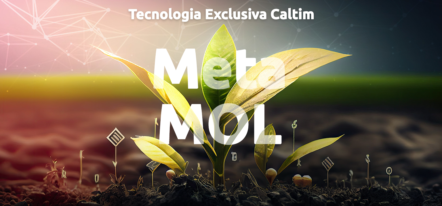 metamol-caltim