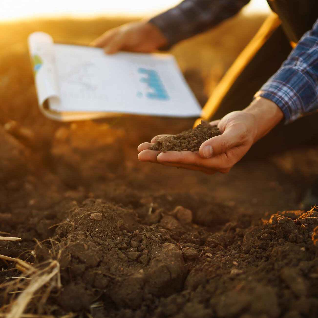 analise-de-solo-agricultor-coletando-a-analise